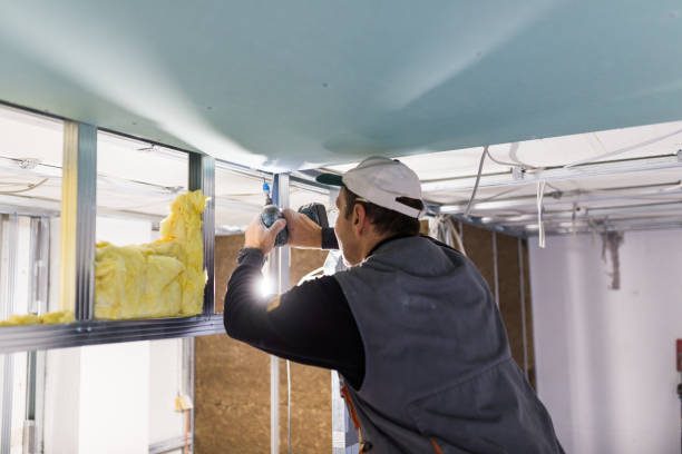 Best Insulation Contractor Near Me  in Hampton, SC
