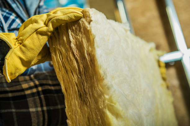 Best Local Insulation Services  in Hampton, SC
